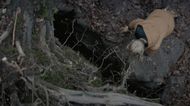 A still from Three Days and a Life (Image via YouTube/gaumont)